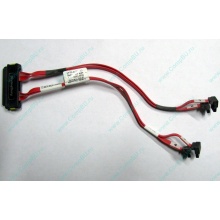 SATA-кабель для корзины HDD HP 451782-001 459190-001 для HP ML310 G5 (Балаково)
