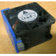 Вентилятор TFB0612GHE для корпусов Intel SR2300 / SR2400 (Балаково)