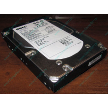 Жесткий диск 300Gb 15k Dell 9CH066-050 6G SAS (Seagate Cheetach ST3300656SS 15K.6) - Балаково
