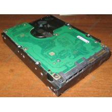 Жесткий диск 300Gb 15k Dell 9CH066-050 6G SAS (Seagate Cheetach ST3300656SS 15K.6) - Балаково