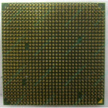 Процессор AMD Sempron 3000+ (1.6GHz) SDA3000IAA3CN s.AM2 (Балаково)